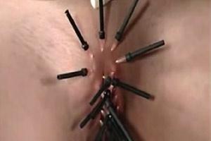 pierced pussy pics